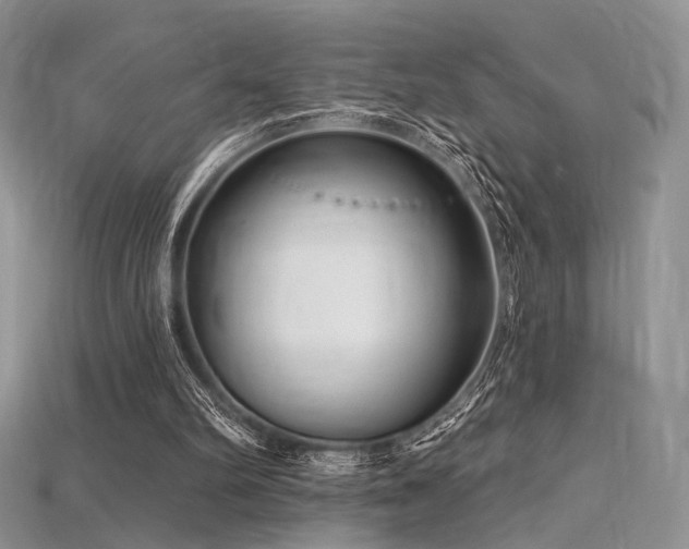 X0000115730102200911121520