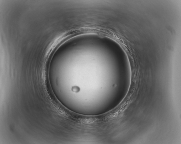 X0000115730103200911121520