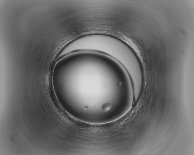 X0000115730105200911121520