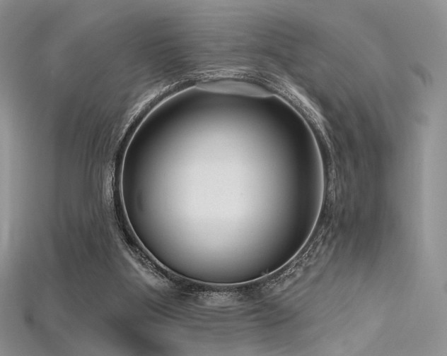 X0000115730107200911121520