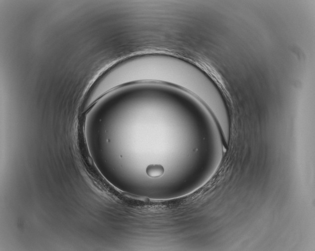 X0000115730108200911121520