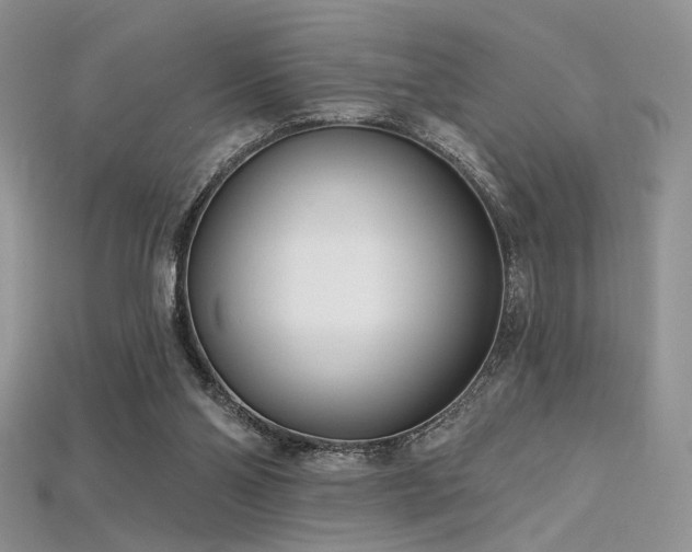 X0000115730110200911121520