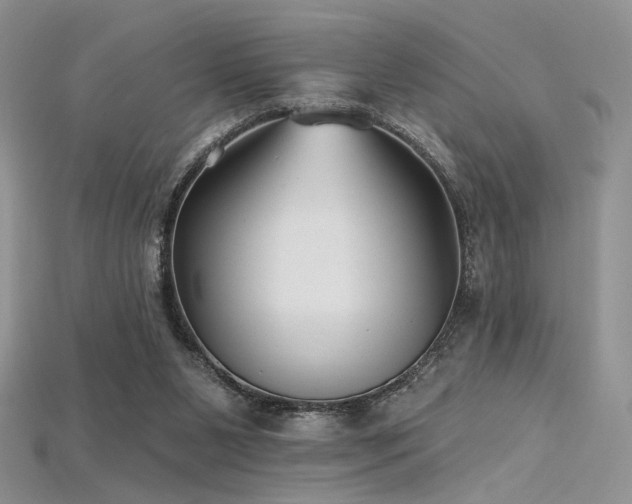 X0000115730111200911121520