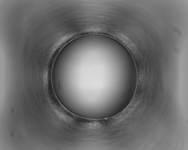 X0000115730112200911121520