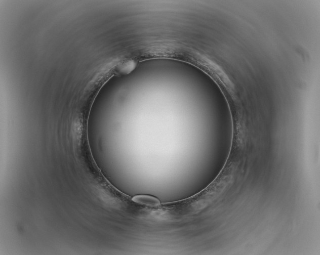 X0000115730113200911121520