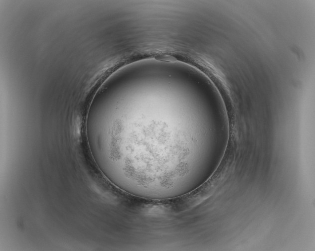 X0000115730115200911121520