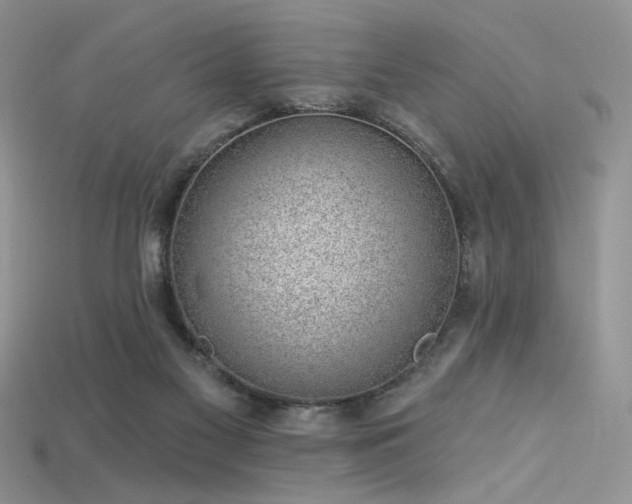 X0000115730117200911121520