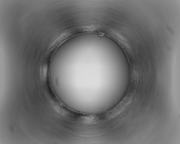 X0000115730118200911121520