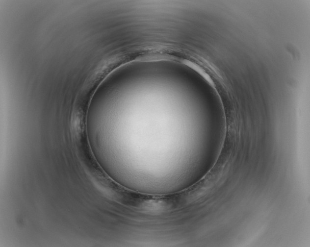 X0000115730119200911121520