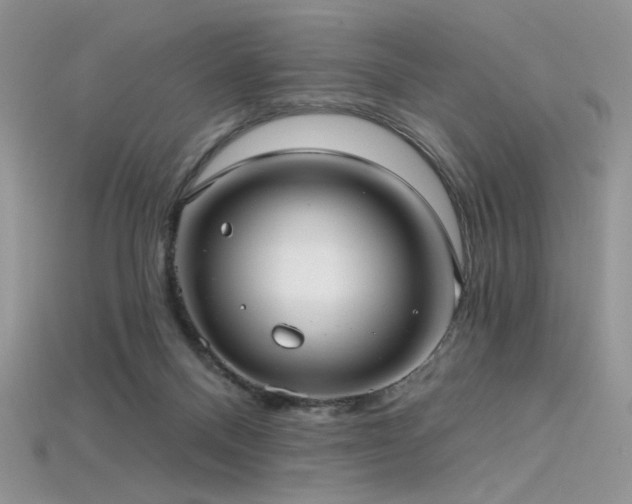 X0000115730120200911121520