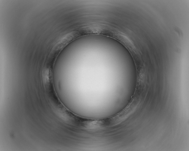 X0000115730122200911121520