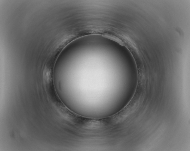 X0000115730123200911121520