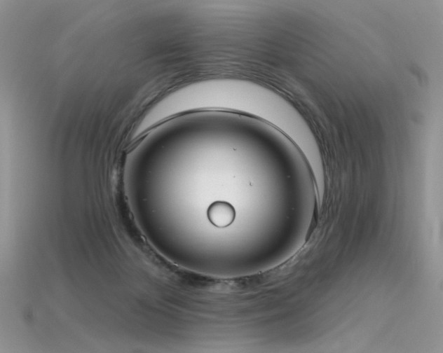 X0000115730124200911121520