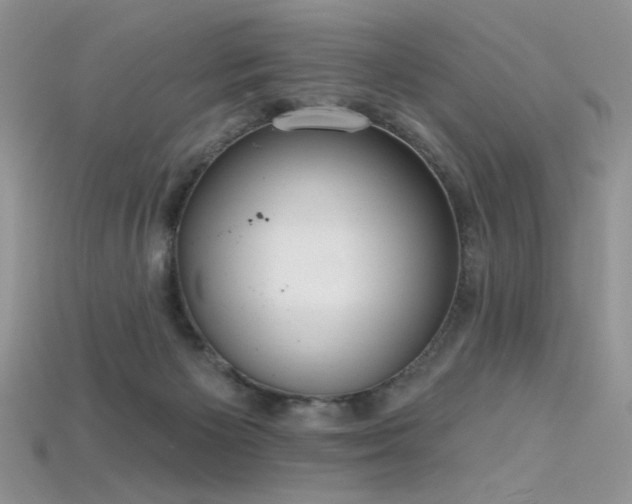 X0000115730125200911121520