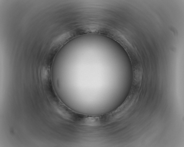 X0000115730126200911121520