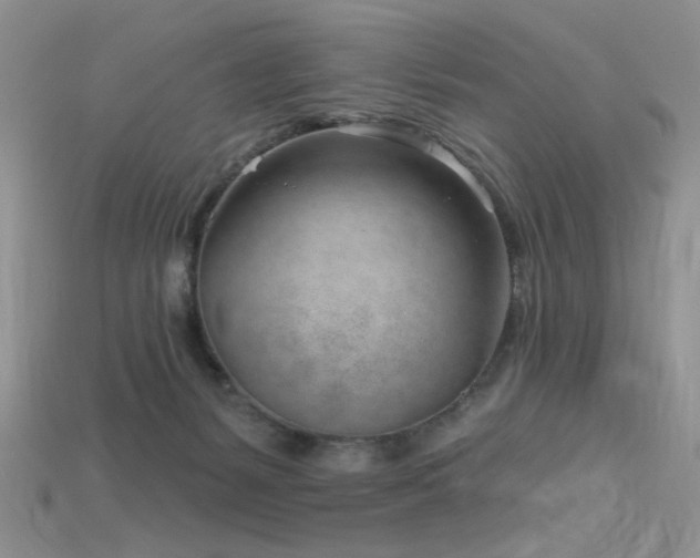 X0000115730127200911121520