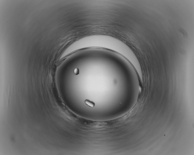 X0000115730128200911121520