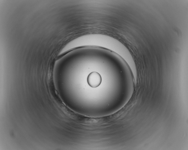 X0000115730129200911121520