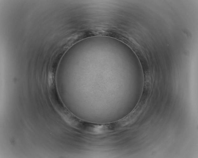 X0000115730130200911121520