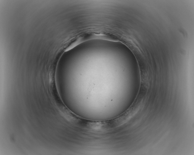 X0000115730131200911121520