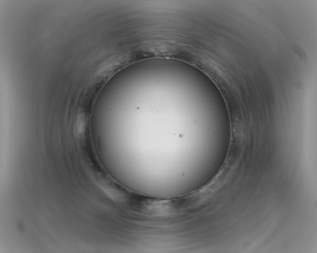 X0000115730132200911121520