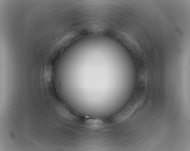 X0000115730133200911121520