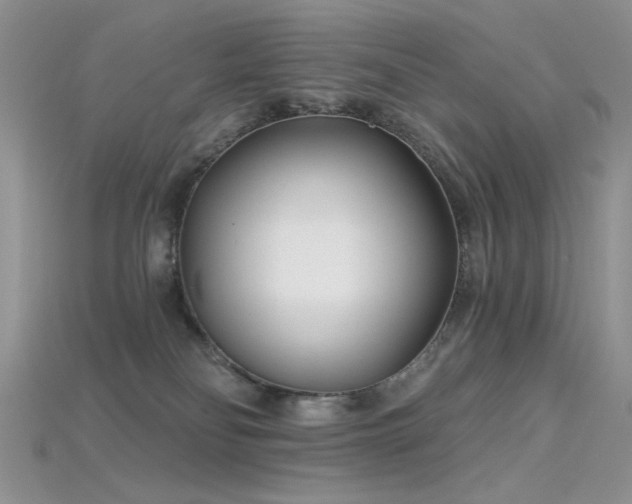 X0000115730134200911121520