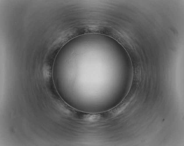 X0000115730135200911121520