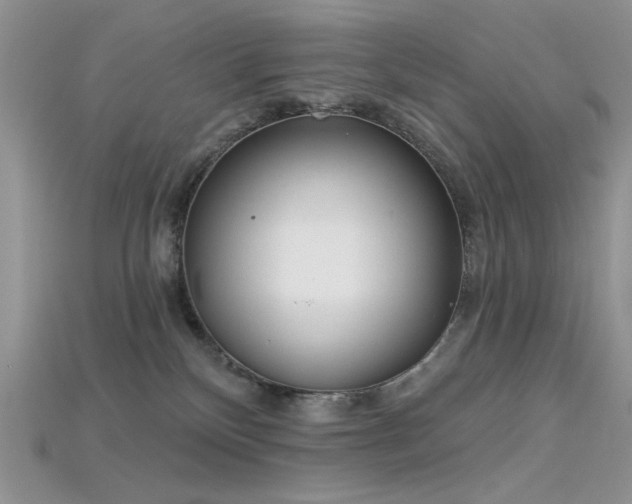 X0000115730136200911121520