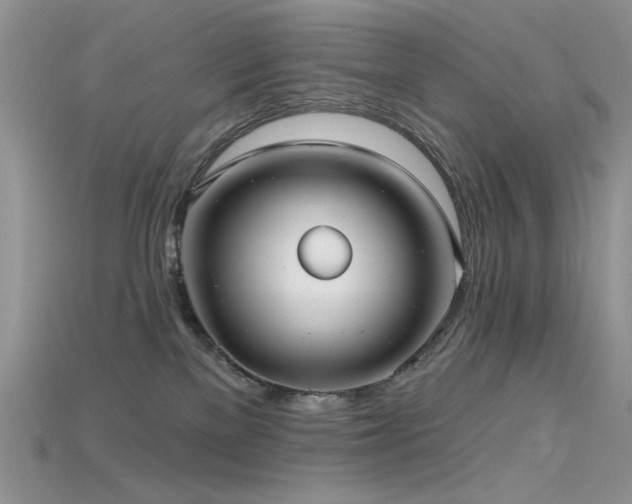 X0000115730137200911121520