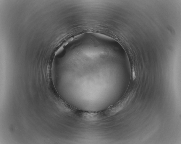 X0000115730139200911121520