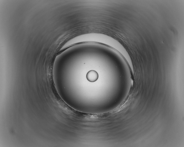 X0000115730140200911121520