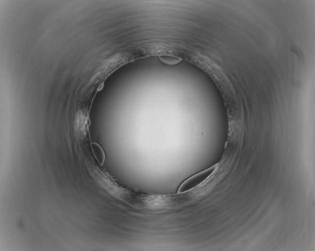 X0000115730142200911121520