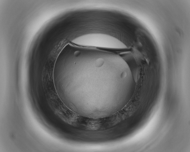 X0000115730143200911121520