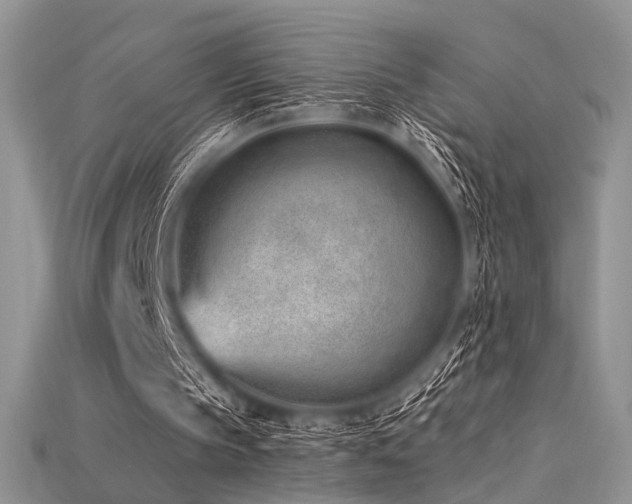 X0000115730145200911121519