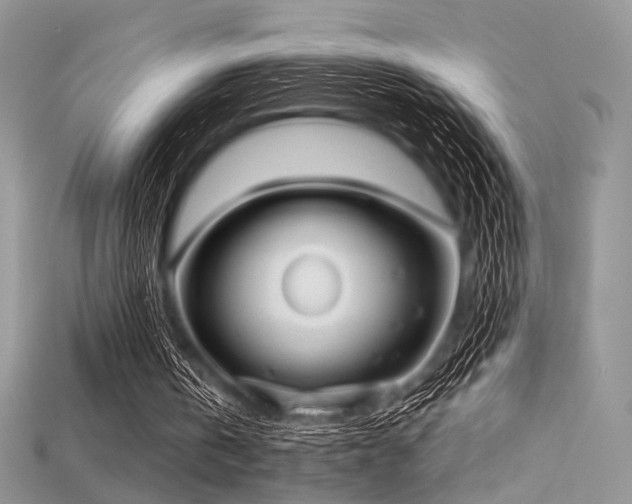 X0000115730146200911121519