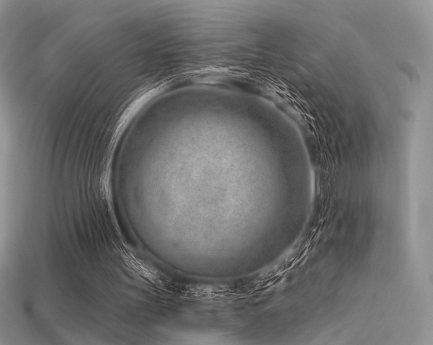 X0000115730147200911121519