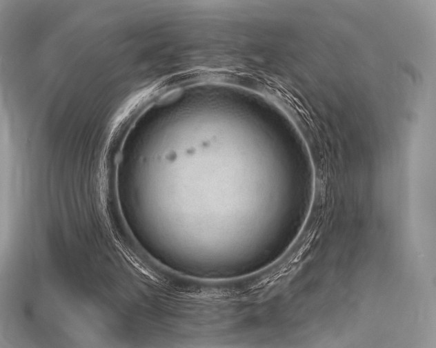 X0000115730149200911121519