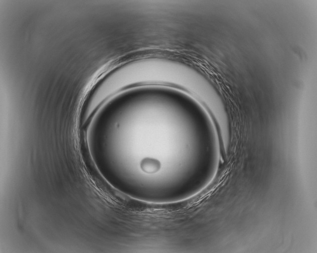 X0000115730150200911121519