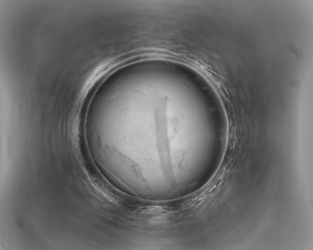 X0000115730151200911121519