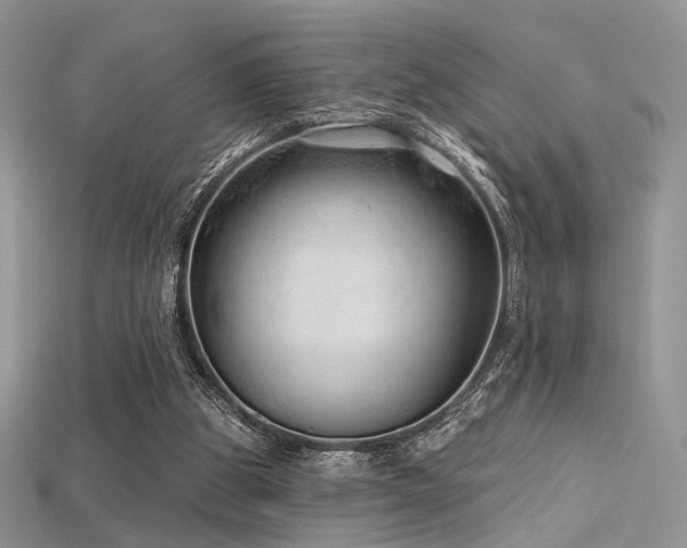 X0000115730153200911121519