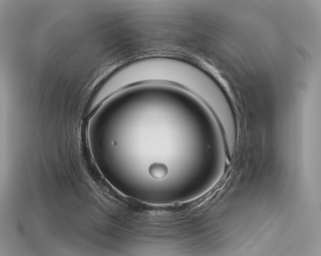 X0000115730154200911121519