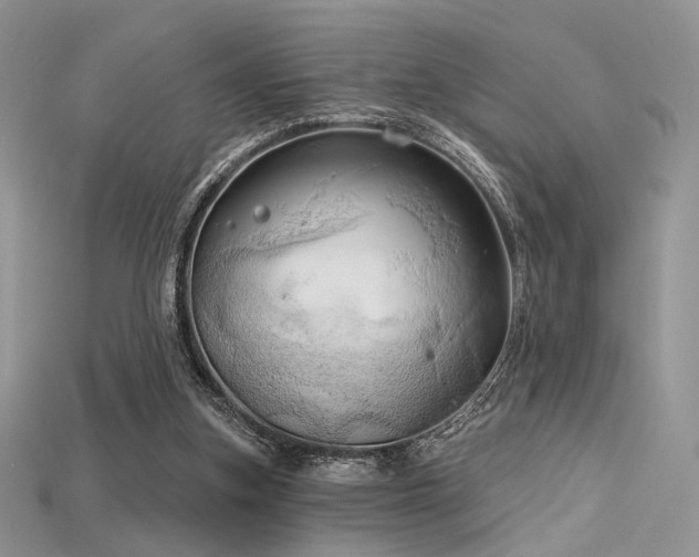 X0000115730155200911121519