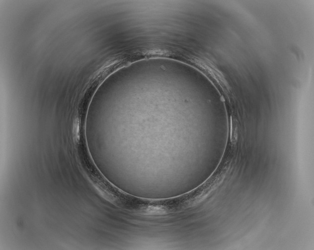 X0000115730157200911121519