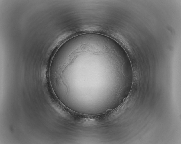 X0000115730159200911121519