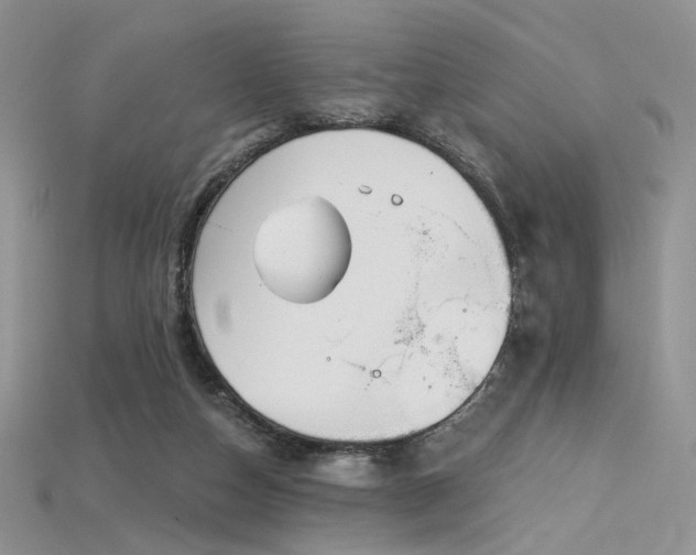 X0000115730162200911121519