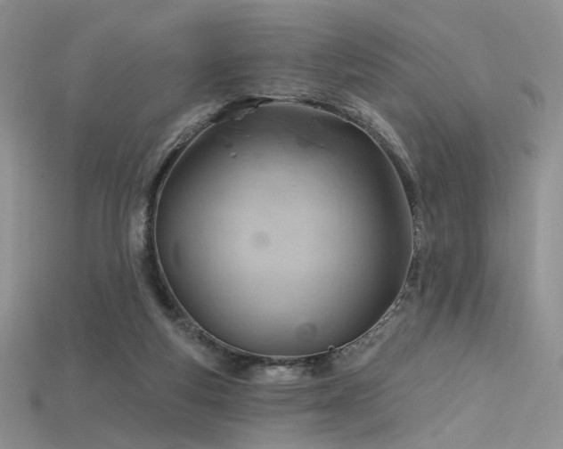 X0000115730163200911121519