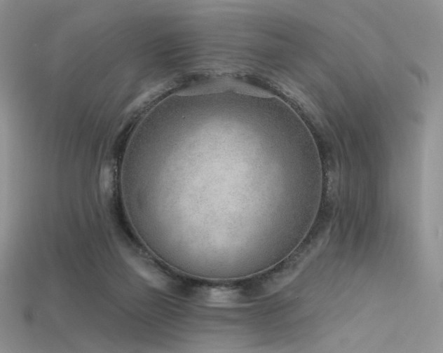 X0000115730165200911121519