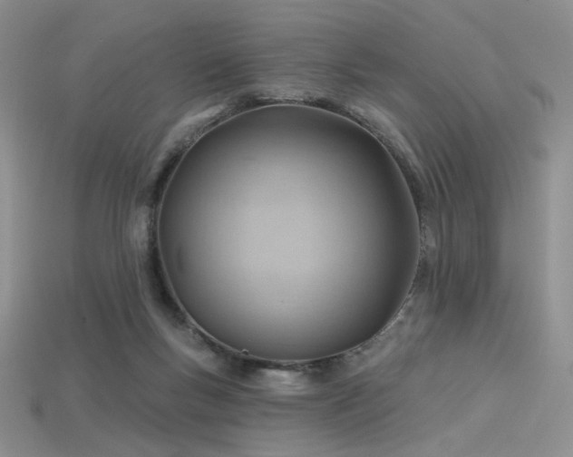 X0000115730167200911121519