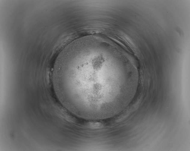 X0000115730169200911121519